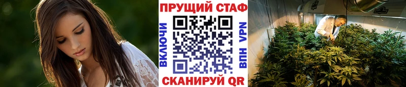 Где можно купить наркотики Терек МАРИХУАНА  Меф мяу мяу  Псилоцибиновые грибы  ГАШИШ  COCAIN 
