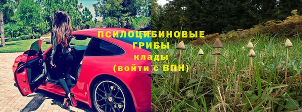 соль ск Козловка