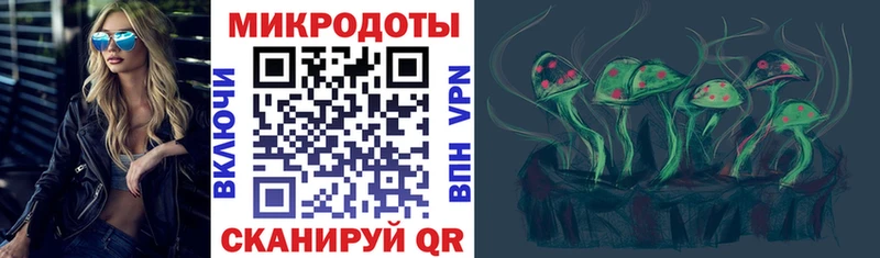 Псилоцибиновые грибы мухоморы  закладки  Терек 